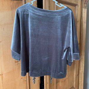 Velvet Silver Gap Blouse